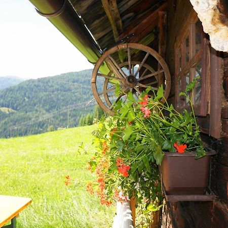 Villa Obervostlhaus - Sehr schöne gemütliche Almhütte der besonderen Art Ebene Reichenau Exterior foto