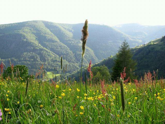 Villa Obervostlhaus - Sehr schöne gemütliche Almhütte der besonderen Art Ebene Reichenau Exterior foto